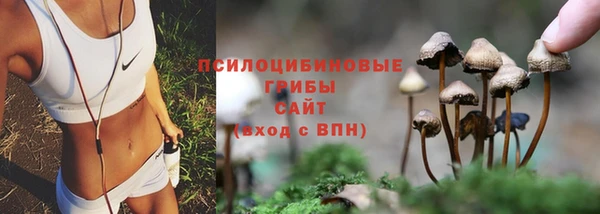 PSILOCYBIN Новокубанск
