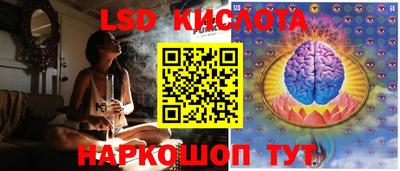 крисы Берёзовский