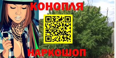 прущие грибы Бийск