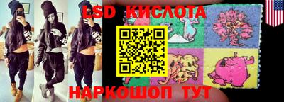 крисы Берёзовский