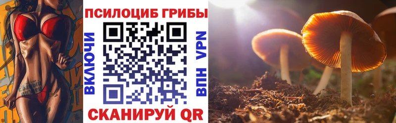 Галлюциногенные грибы Cubensis Изобильный